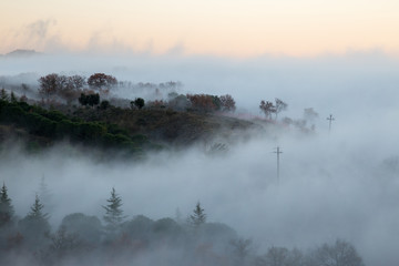Hills and trees emerging from a sea of fog with warm sunset colors
