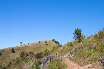 mountain with blue sky in the daylight