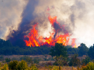 a devastating fire in Croatia near Pristeg village