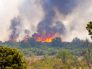 Fototapeta premium view of the picturesque town of Betina on the Croatian coast