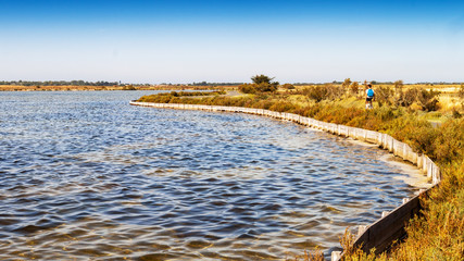 vélo au milieu des étangs de l'île de Ré