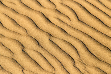 Fototapeta na wymiar Sand in the desert as a background