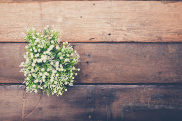 Top down view of green plant on old wood floor with vintage retro filter effect. For background,