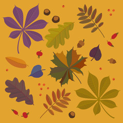 Autumn background seamless pattern with colorful leaves