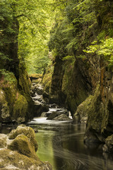Stunning landscape with river flowing through deep sided gorge with vibrant green foliage