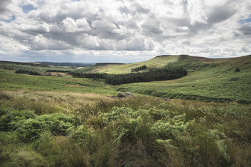 Fototapeta na wymiar Beautiful vibrant landscape image of Burbage Edge and Rocks in Summer in Peak District England