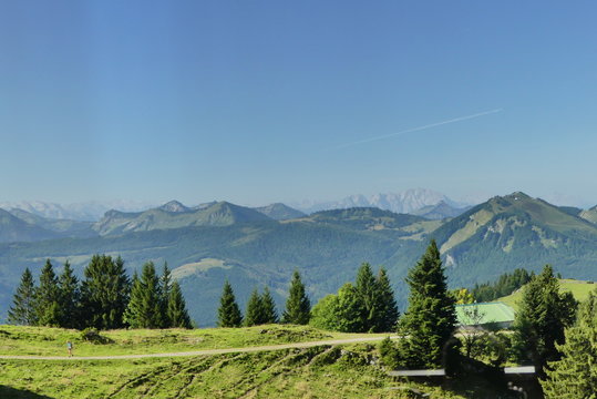 Schafbergalm