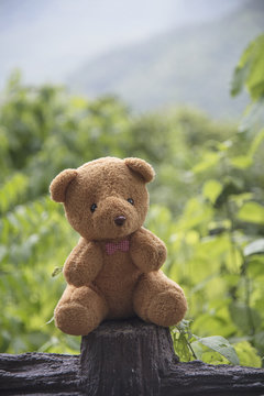 Teddy bear on a natural background