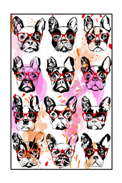 Portraits Of French Bulldog Wearing Sunglasses