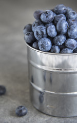 Blue and Grey Blueberry Photography