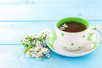 Tea and flowers of cherry on a blue wooden background. Spring background. Selective focus.