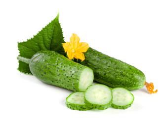 Sliced cucumber with leaf and flower isolated on a white background