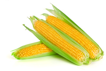 ear of corn isolated on a white background