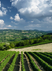 Fototapeta na wymiar Oltrepo Pavese (Italy), rural landscape at summer