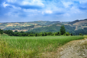 Oltrepo Pavese (Italy), rural landscape at summer