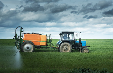 Tractor spraying wheat field with sprayer on the background of dark clouds