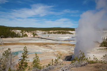 Norris geyser basin