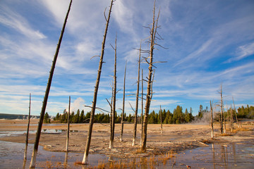 Lower geyser basin