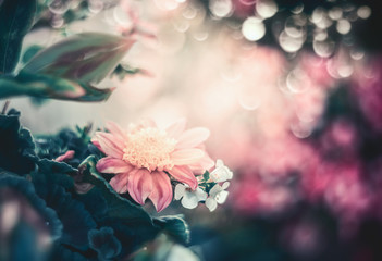 Beautiful  floral background with bokeh, frame