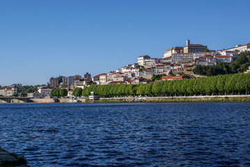Fototapeta premium Botanical Garden, Coimbra, Portugal