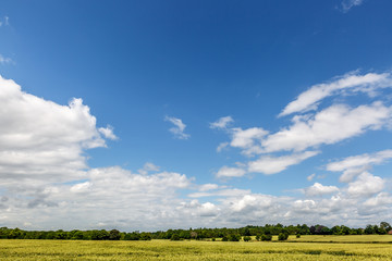View of a beautiful summer sky on a meadow in England