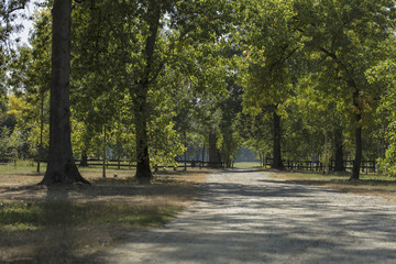 Beautiful gravel road at village side. Nature background