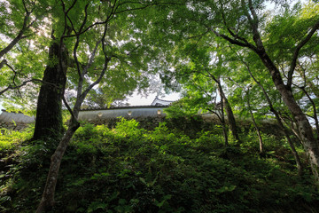 Fototapeta premium 備中松山城 石垣・土塀 -天守が残る日本で唯一の山城-
