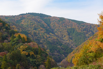 Autumn at Arashiyama view point