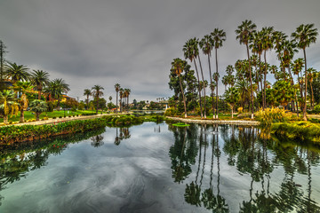 Fototapeta na wymiar Palm trees in Echo park on a cloudy day