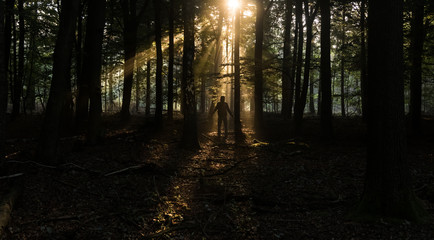 a man standing in the forest towards the sun