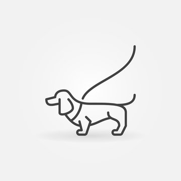 Dog On A Leash Concept Icon