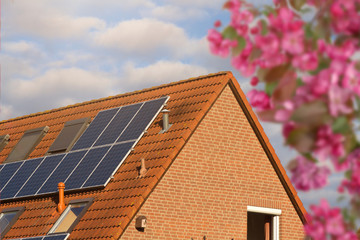 Hausdach mit Solarzellen und Kirschbaum im Vordergrund