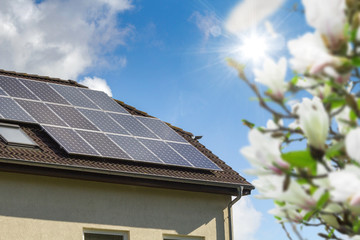 Fototapeta premium Hausdach mit Solarzellen und Magnolienbaum im Vordergrund
