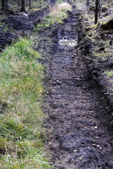 Spurrinnen durch Forstfahrzeuge