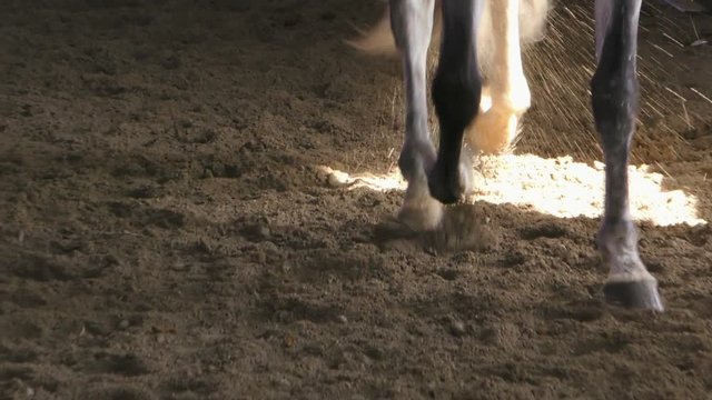 Closeup of the hooves of a galloping horse on a sandy track