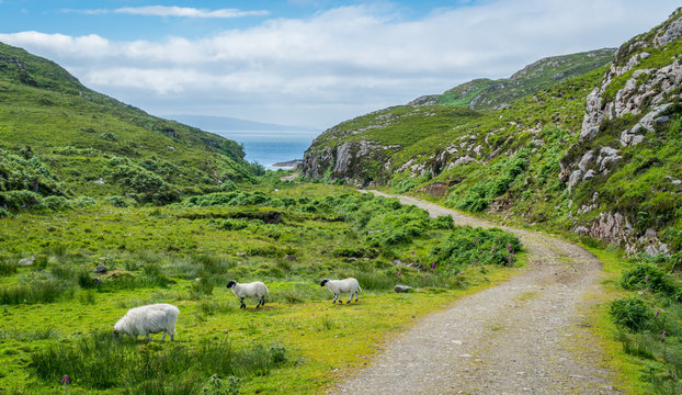 Scenic landscape in Point of Sleat, the southernmost point of Skye. Scotland.