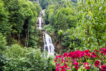 Fototapeta premium Giessbachfall near Brienz in Switzerland