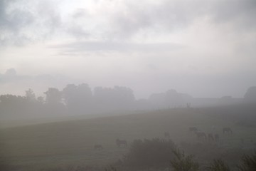 Nebel bei Sonnenaufgang