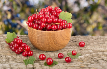 Red currant berries in wooden bowl on wooden table with blurry garden background