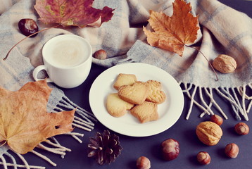 Tea Cup Hot Coffee Cappuccino Autumn Time Tinted Toned Photo Knitting Scarf Yellow Leaves Chestnuts Black Background
