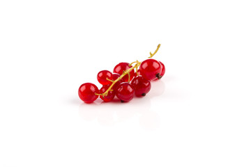 Red currant isolated