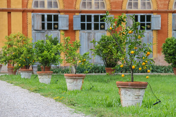 Fototapeta na wymiar Baroque palace and park of Villa Sorra. Castelfranco Emilia, Modena, Italy