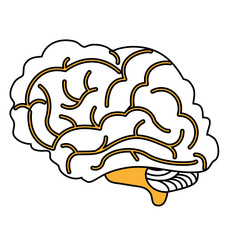 Brain icon Human organ mind and science theme Isolated design Vector illustration