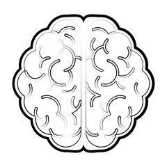 Fototapeta premium Brain icon Human organ mind and science theme Isolated design Vector illustration