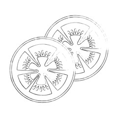 tomato slice icon over white background vector illustration