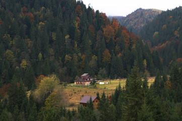 Cozy house on the forest glade in the Carpathian Mountains. Tourist shelter