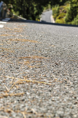 Detail of a road on Gran Canaria