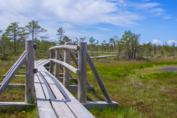 Wooden path in Kemeri National Park, Latvia
