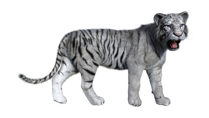 3D Rendering White Tiger on White