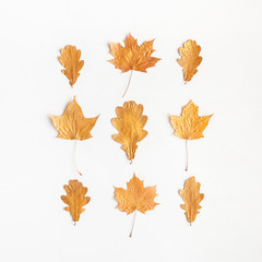 Autumn composition. Autumn maple tree leaves on white background. Flat lay, top view, square